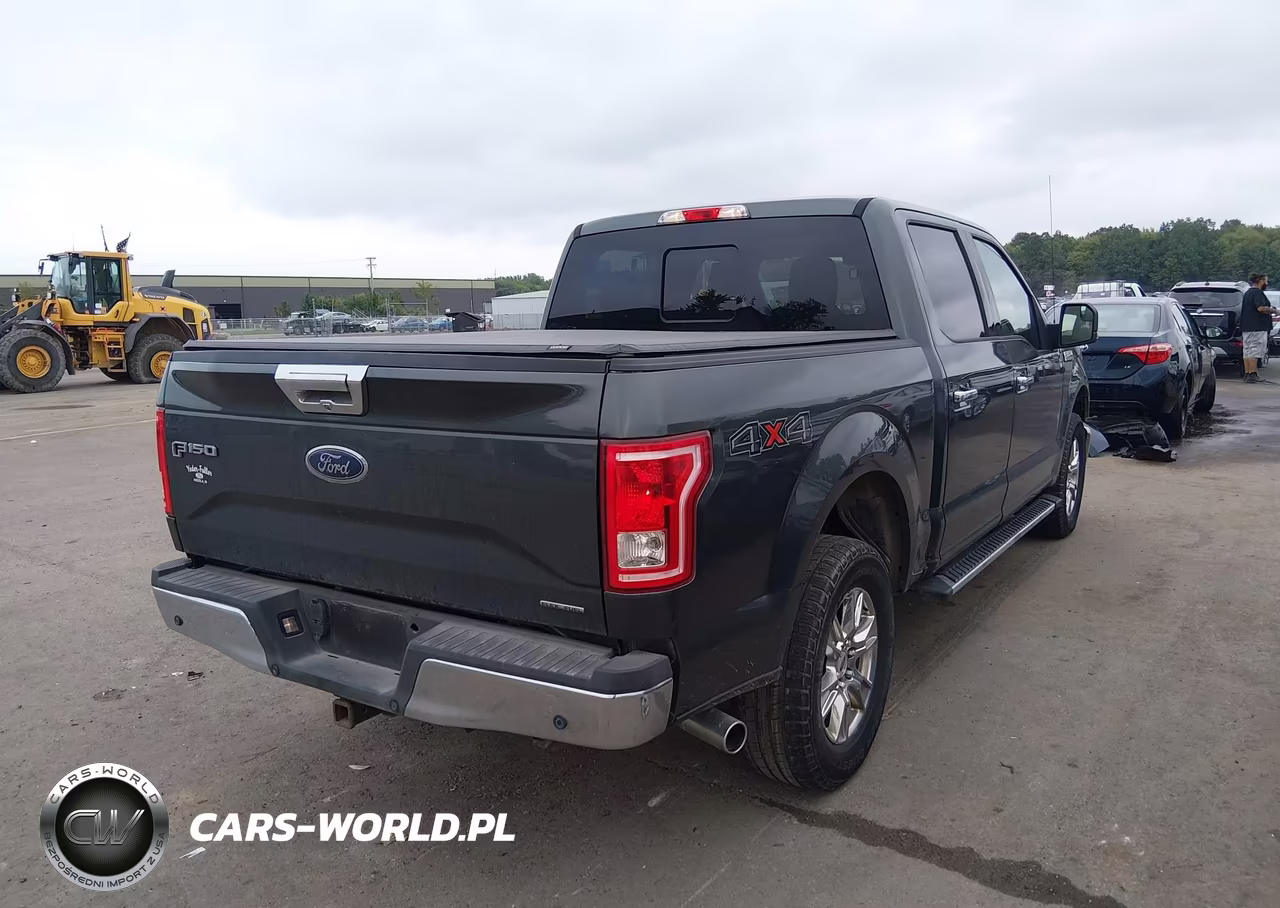 2015 Ford F-150 Xlt VIN:1FTEW1EFXFKF08741 - 4