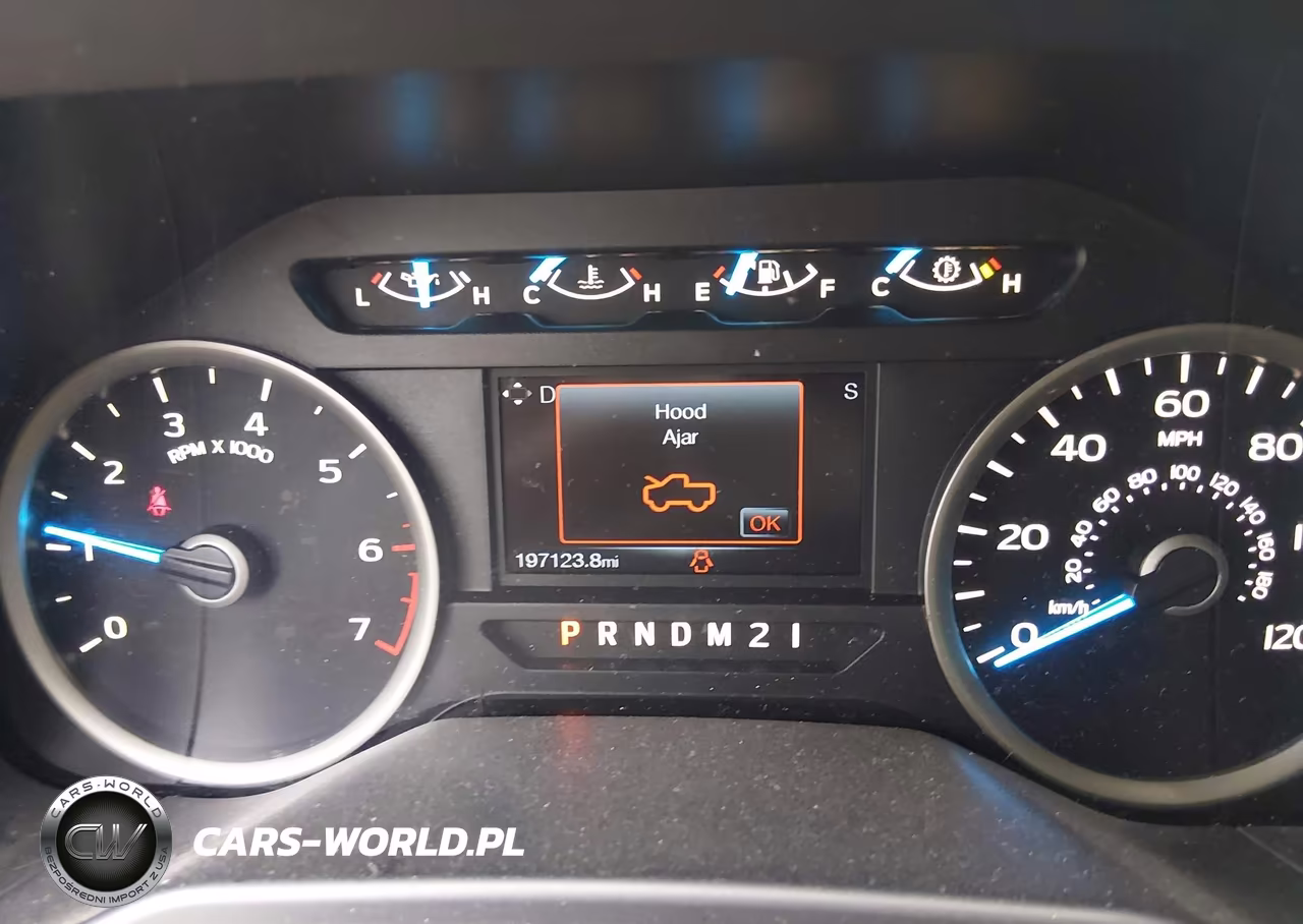 2015 Ford F-150 Xlt VIN:1FTEW1EFXFKF08741 - 7