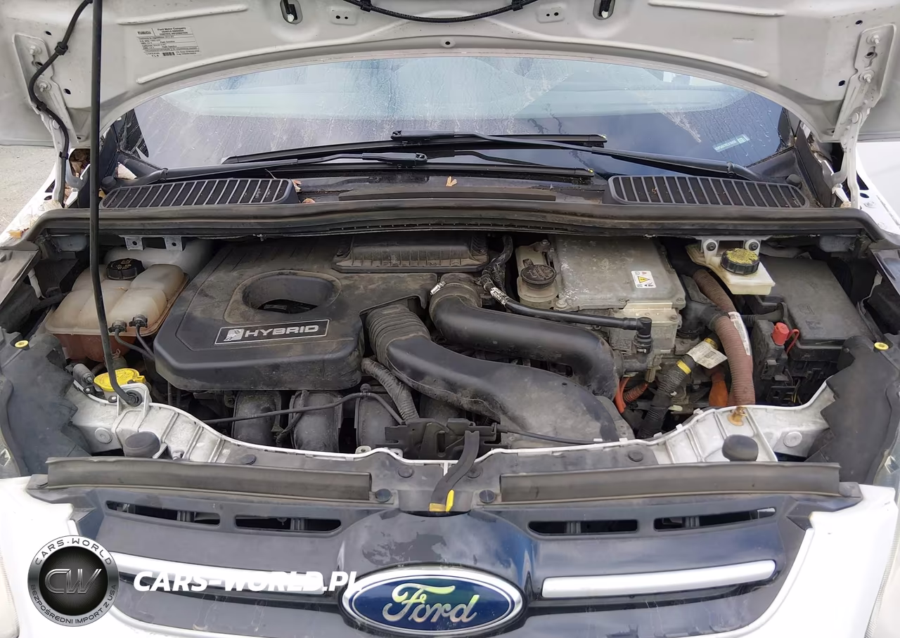 2014 Ford C-Max Hybrid Se VIN:1FADP5AU7EL519439 - 10
