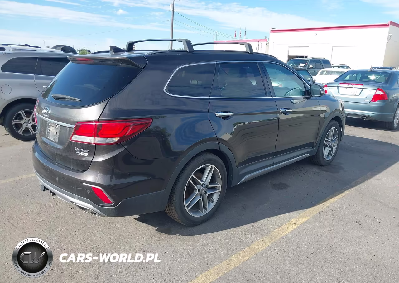 2017 Hyundai Santa Fe Limited Ultimate VIN:KM8SRDHF1HU239975 - 4