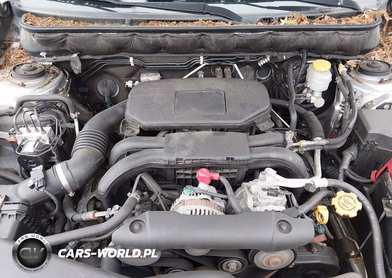 2010 Subaru Legacy 2.5I Premium VIN:4S3BMBG64A3230675 - 10