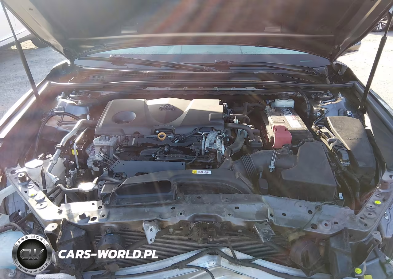 2019 Toyota Camry Xse VIN:4T1B61HK2KU783185 - 10