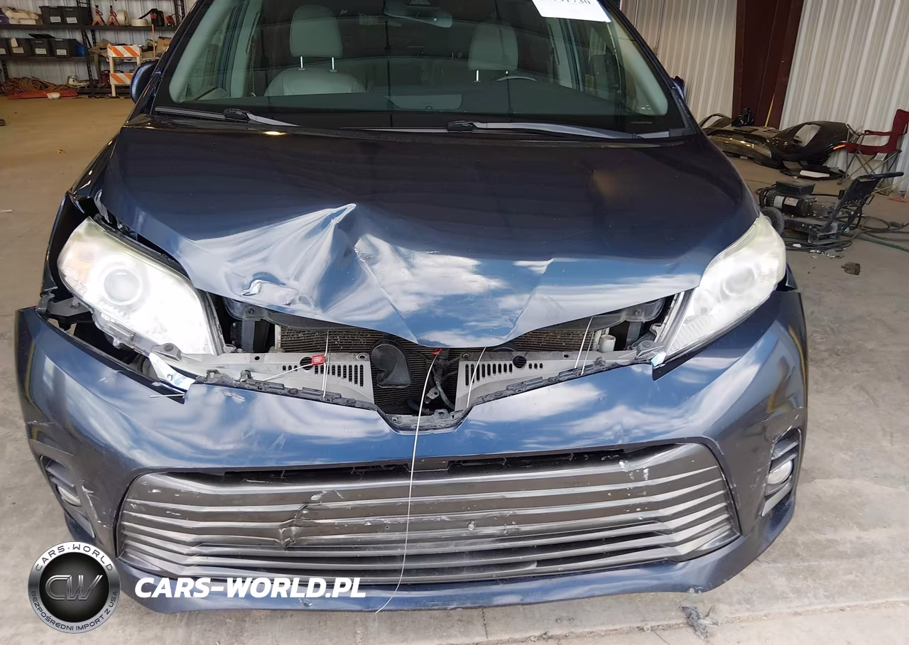 2019 Toyota Sienna Xle 8 Passenger VIN:5TDYZ3DC8KS975845 - 6