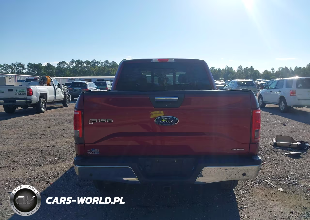 2016 Ford F-150 Xlt VIN:1FTEW1EF4GFB08569 - 16