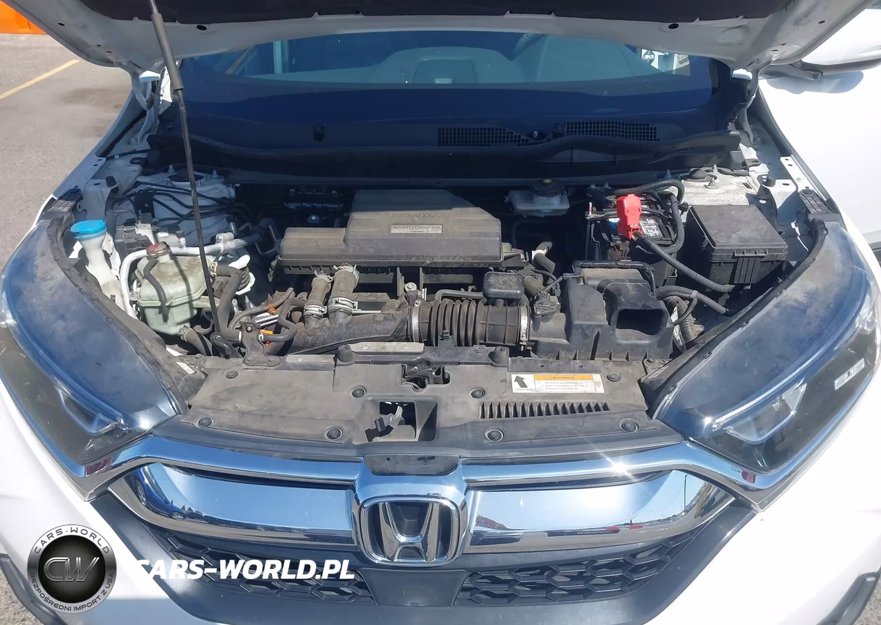 2019 Honda Cr-V Ex VIN:5J6RW1H5XKA025541 - 10