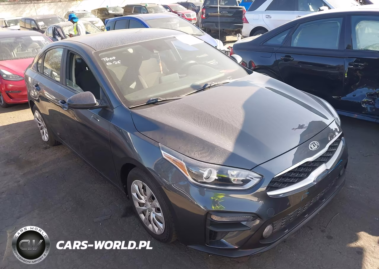 2019 Kia Forte Lxs