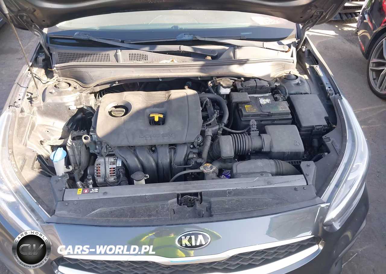 2019 Kia Forte Lxs VIN:3KPF24AD4KE138986 - 10
