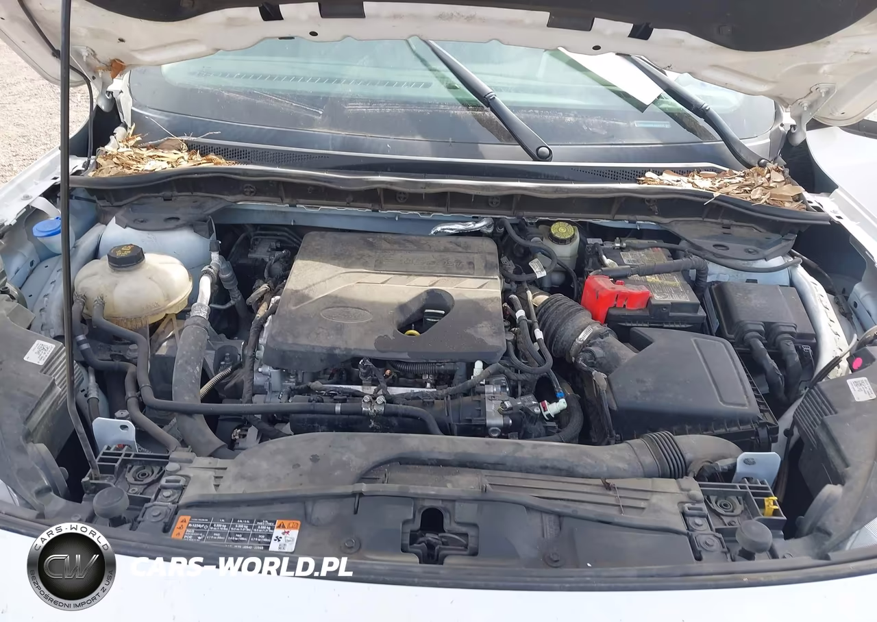 2020 Ford Escape Sel VIN:1FMCU0H66LUA55247 - 10