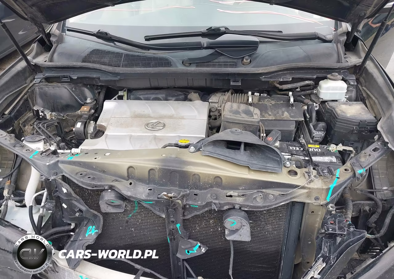 2015 Lexus Rx 350 VIN:2T2BK1BA6FC312672 - 10