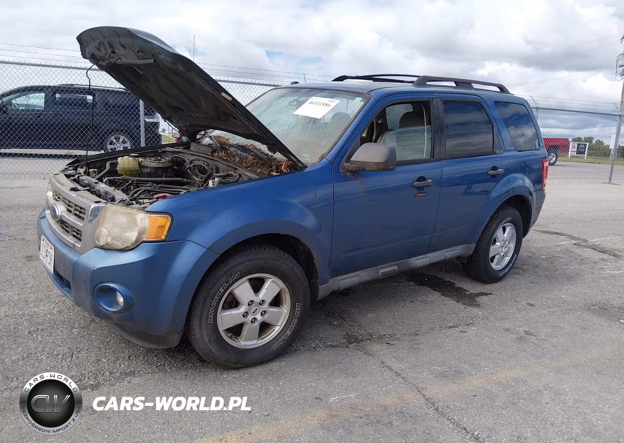 2009 Ford Escape Xlt VIN:1FMCU03749KC65740 - 2
