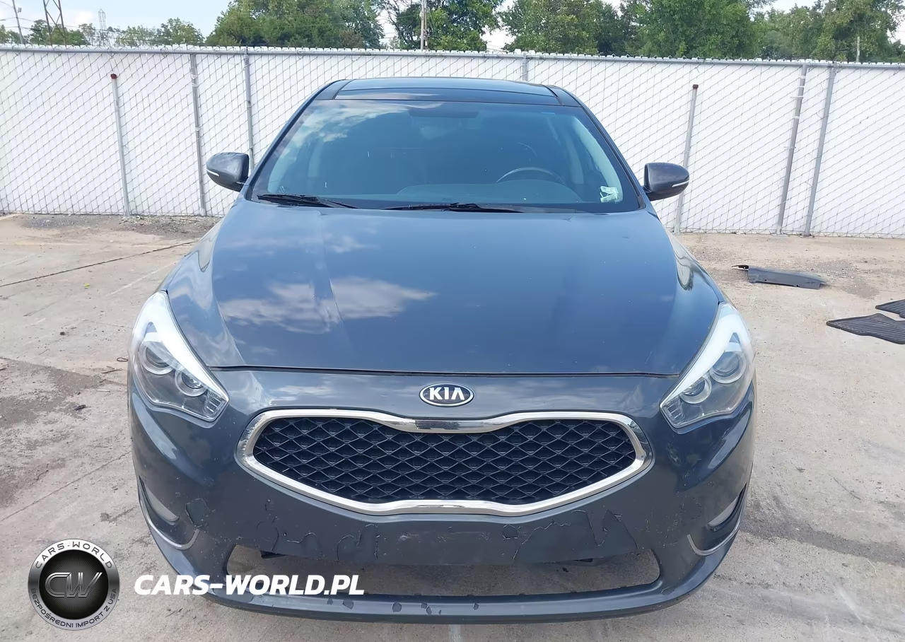 2015 Kia Cadenza Premium VIN:KNALN4D74F5197597 - 12