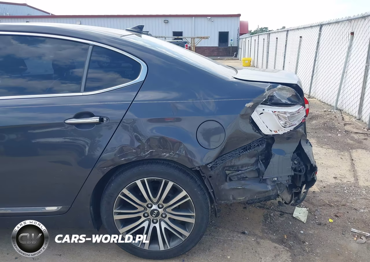 2015 Kia Cadenza Premium VIN:KNALN4D74F5197597 - 5