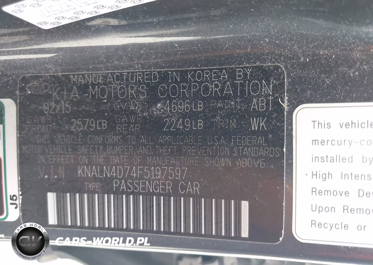 2015 Kia Cadenza Premium VIN:KNALN4D74F5197597 - 8