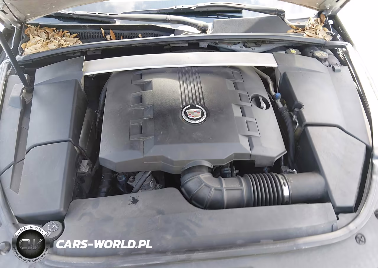 2012 Cadillac Cts Luxury VIN:1G6DE5E5XC0105446 - 10