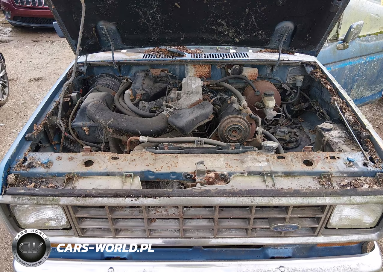 1988 Ford Bronco Ii VIN:1FMCU14T6JUE14014 - 10