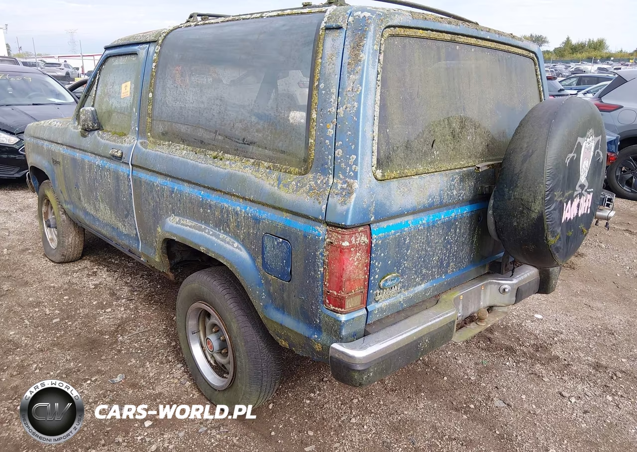1988 Ford Bronco Ii VIN:1FMCU14T6JUE14014 - 3