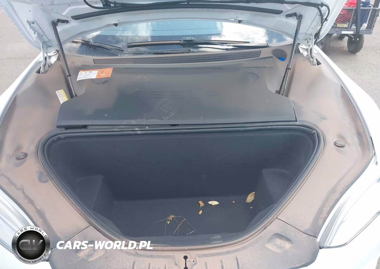 2016 Tesla Model S 60D-70D-75D-85D-90D VIN:5YJSA1E21GF169011 - 10