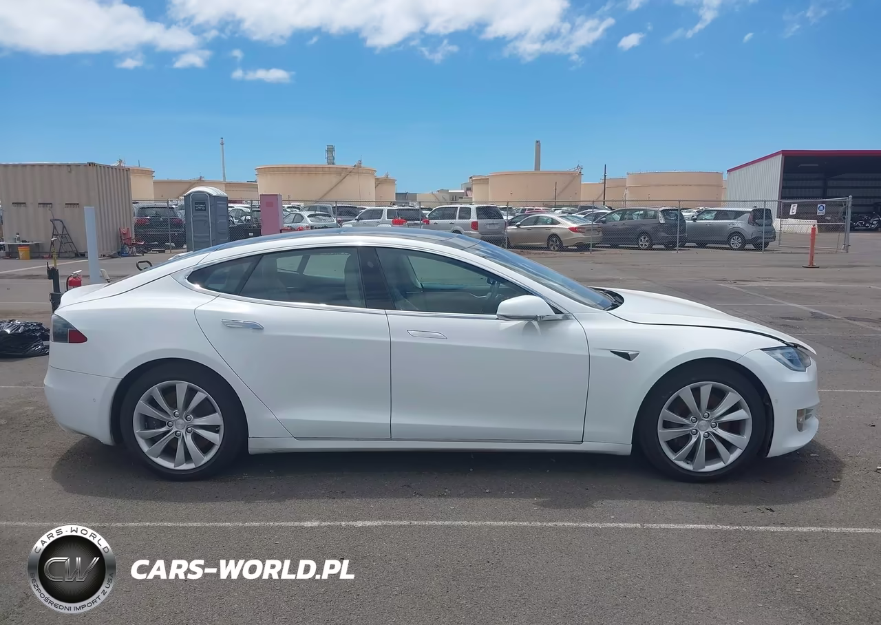 2016 Tesla Model S 60D-70D-75D-85D-90D VIN:5YJSA1E21GF169011 - 13