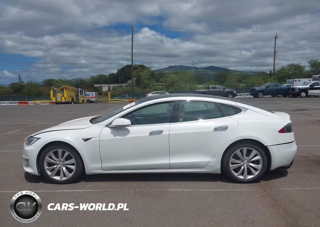 2016 Tesla Model S 60D-70D-75D-85D-90D VIN:5YJSA1E21GF169011 - 14
