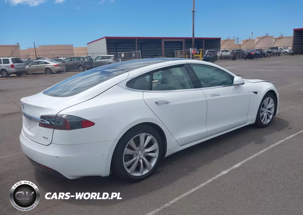 2016 Tesla Model S 60D-70D-75D-85D-90D VIN:5YJSA1E21GF169011 - 4