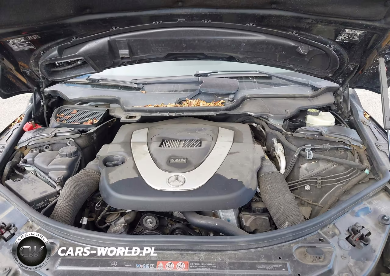2006 Mercedes-Benz R 350 4Matic VIN:4JGCB65E46A033158 - 10