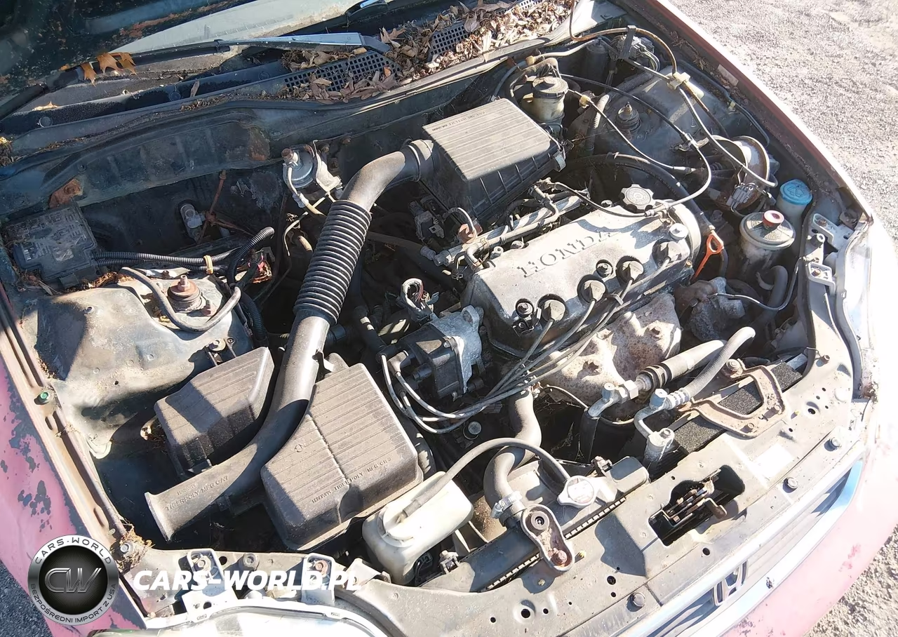 1998 Honda Civic Lx VIN:2HGEJ6671WH517310 - 10