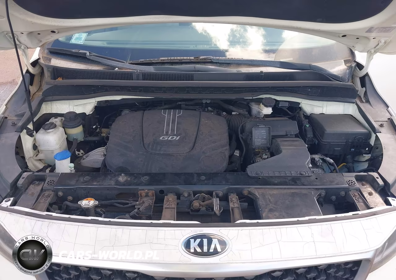2016 Kia Sedona Lx VIN:KNDMB5C19G6196993 - 10