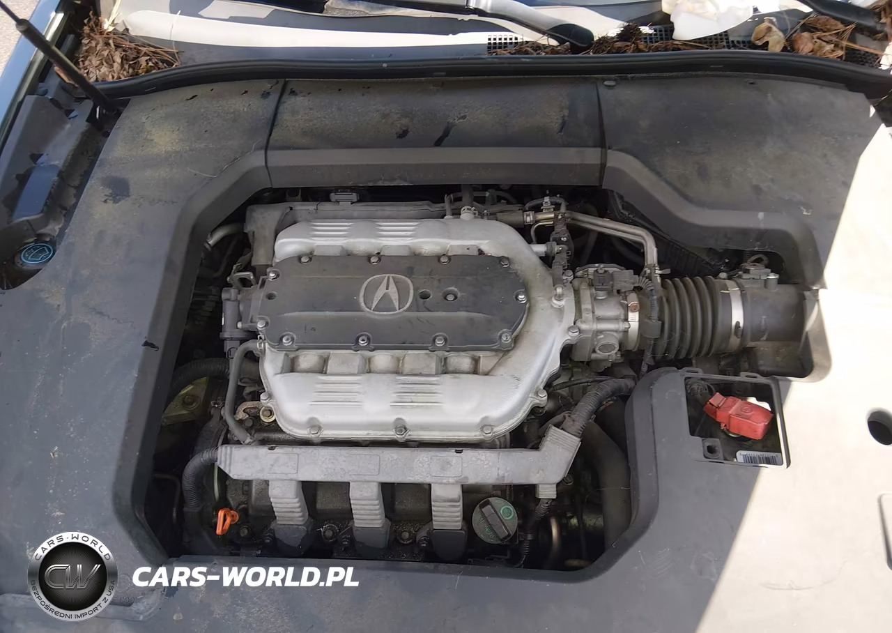 2009 Acura Tl 3.5 VIN:19UUA862X9A022120 - 10