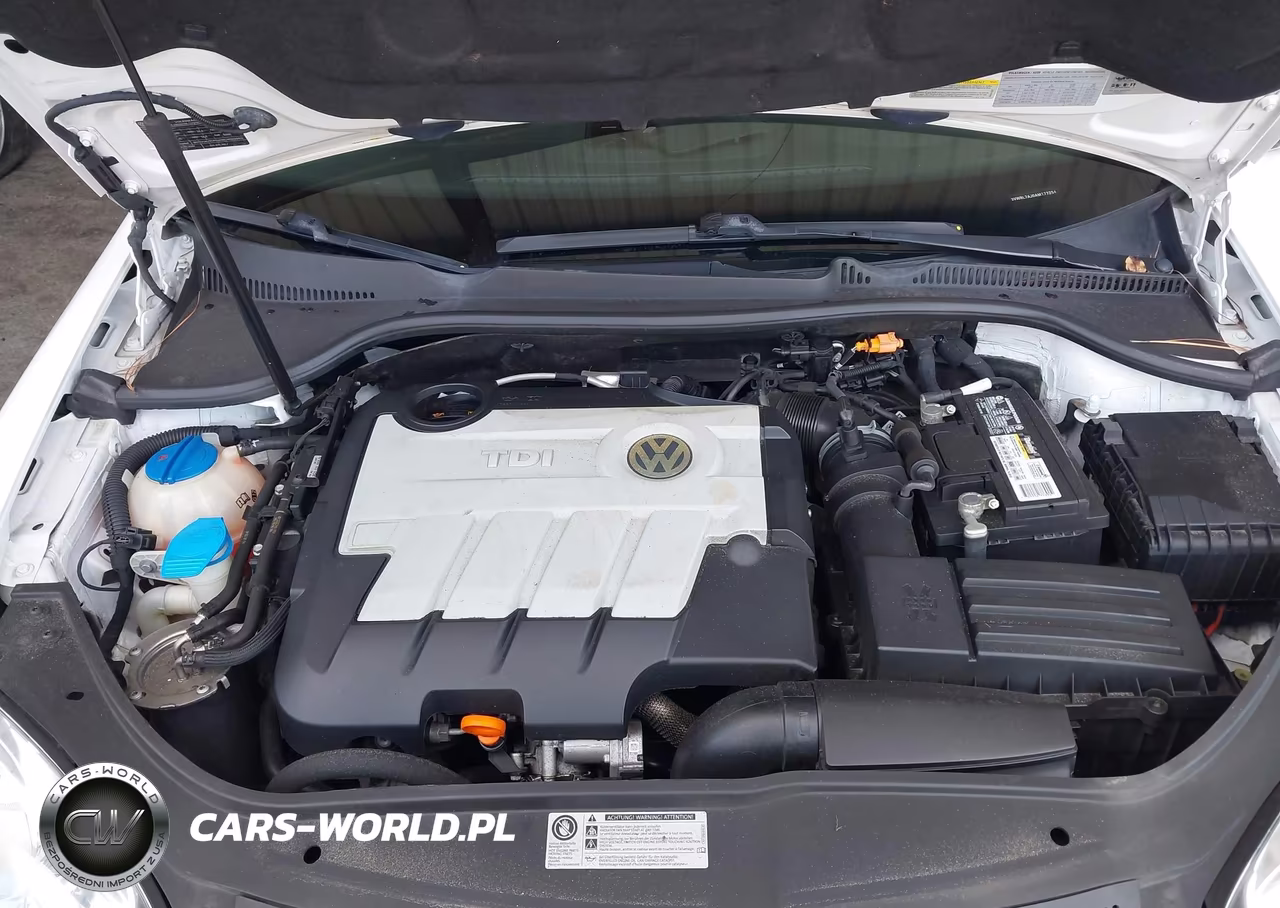 2010 Volkswagen Jetta Tdi VIN:3VWRL7AJ0AM177254 - 10