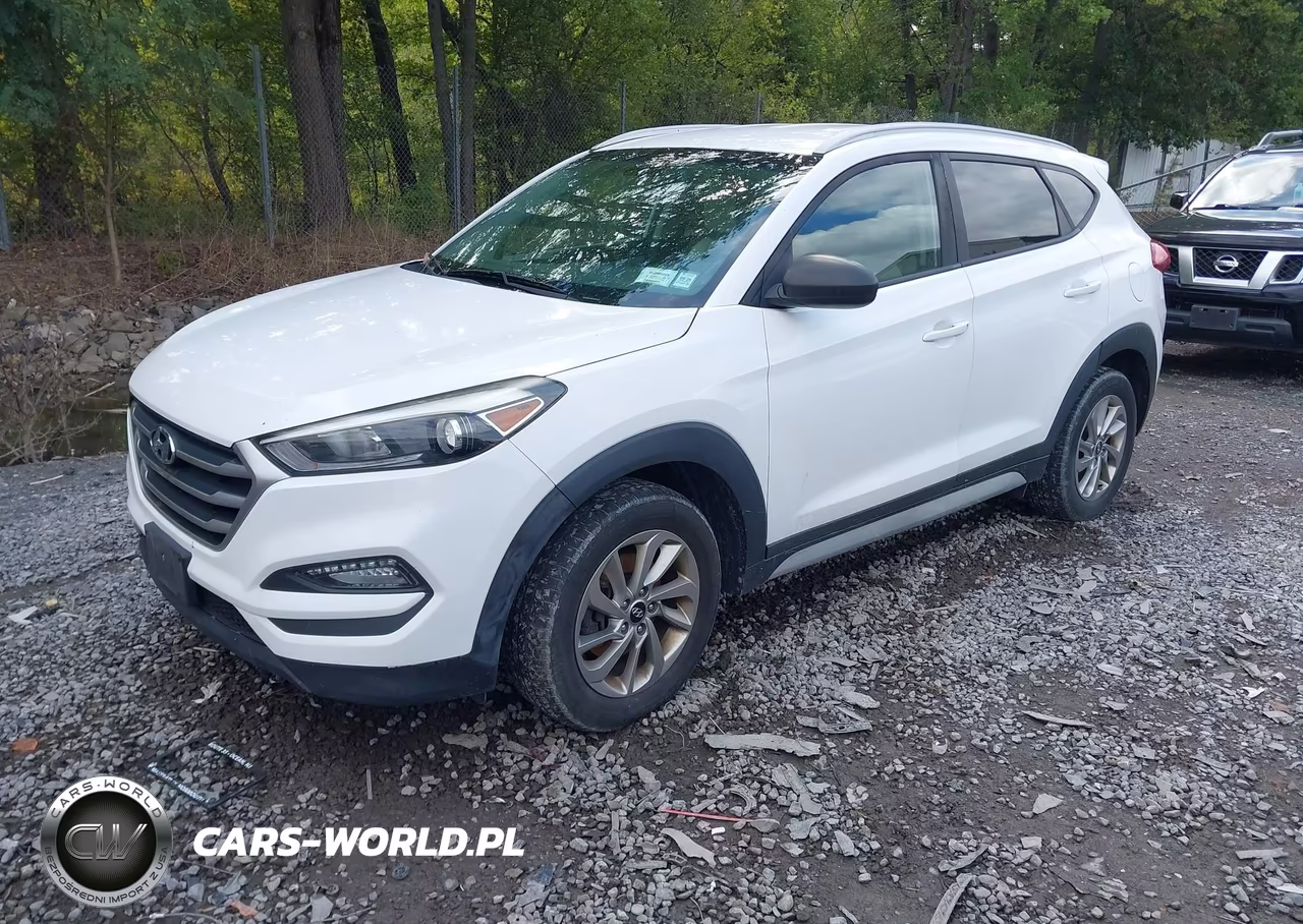 2018 Hyundai Tucson Sel VIN:KM8J3CA46JU807210 - 2