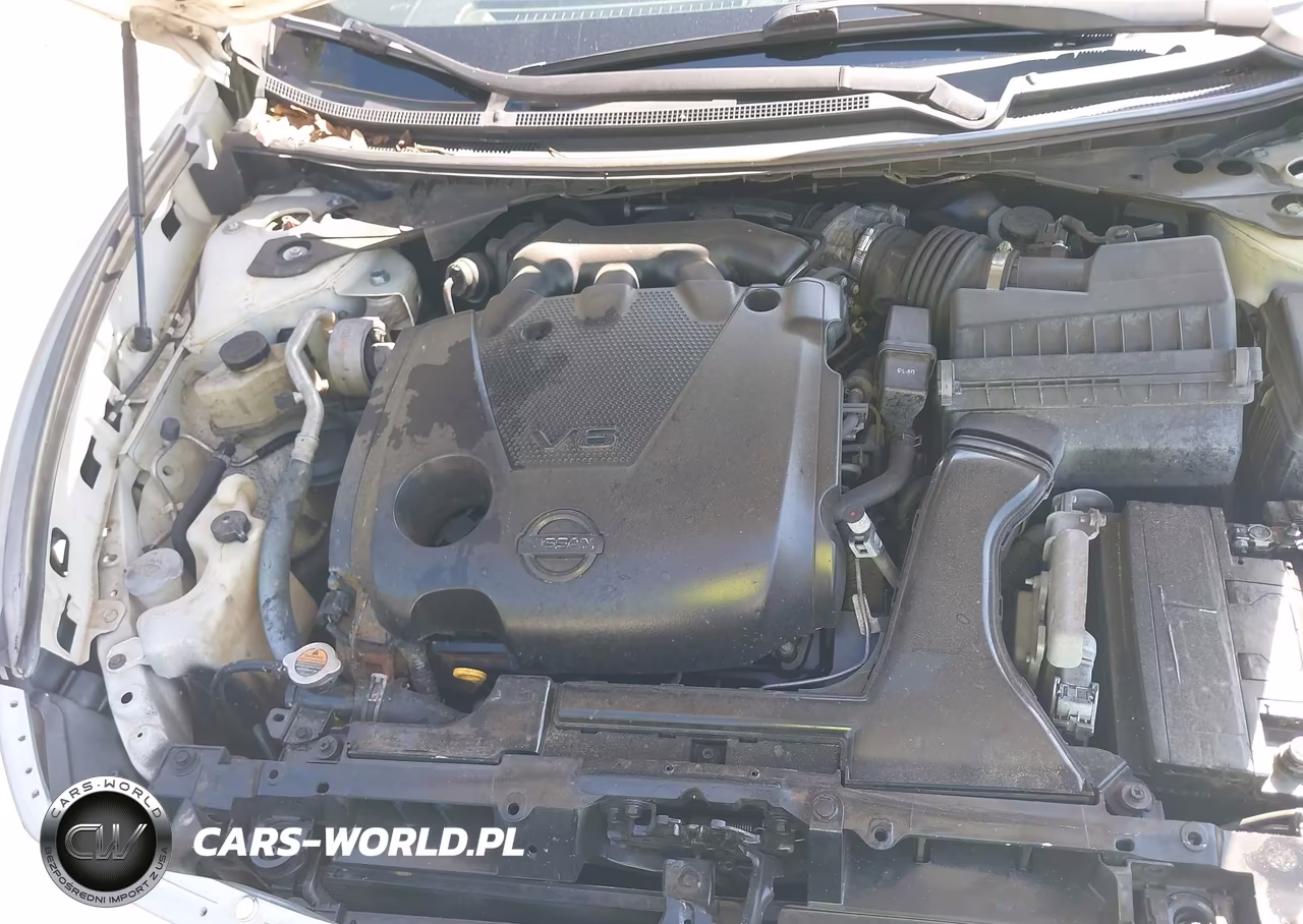 2009 Nissan Maxima 3.5 S VIN:1N4AA51E79C835832 - 10
