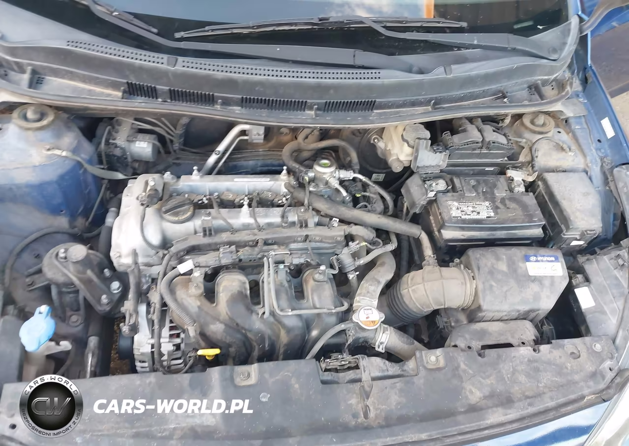 2016 Hyundai Accent Se VIN:KMHCT5AE6GU260929 - 10