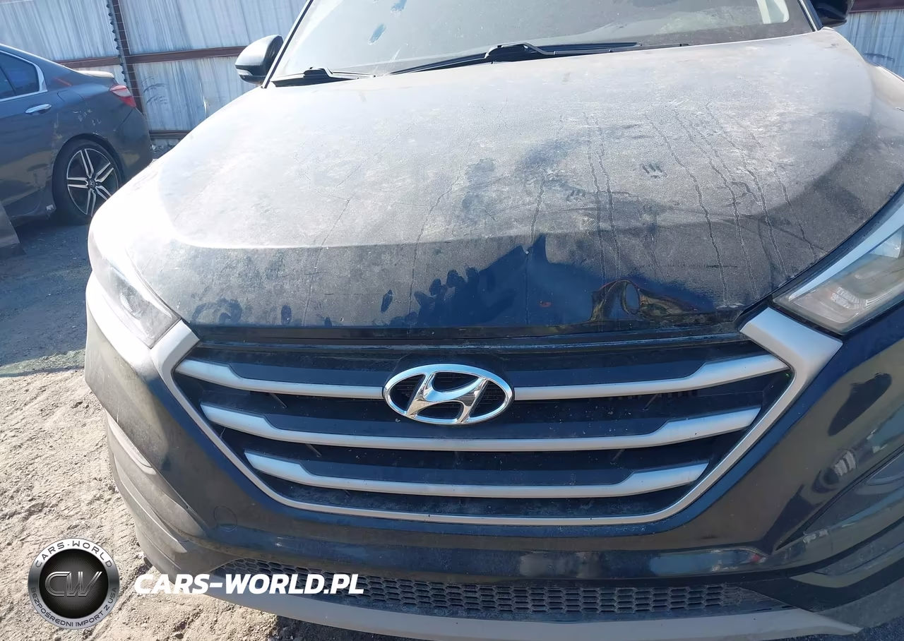 2018 Hyundai Tucson Value VIN:KM8J33A28JU674755 - 6