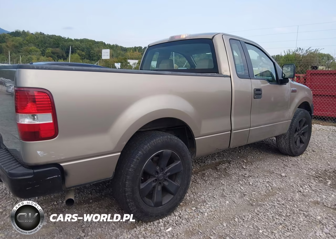 2006 Ford F-150 Stx-Xl-Xlt VIN:1FTRF12296NB12334 - 4