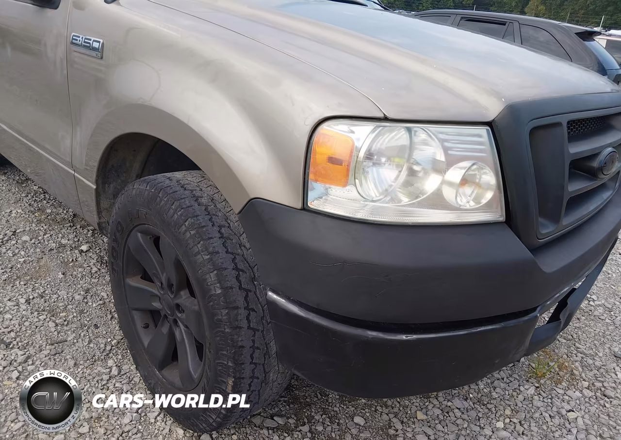 2006 Ford F-150 Stx-Xl-Xlt VIN:1FTRF12296NB12334 - 6