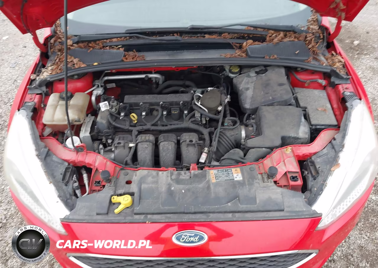 2015 Ford Focus Se VIN:1FADP3F24FL209617 - 10