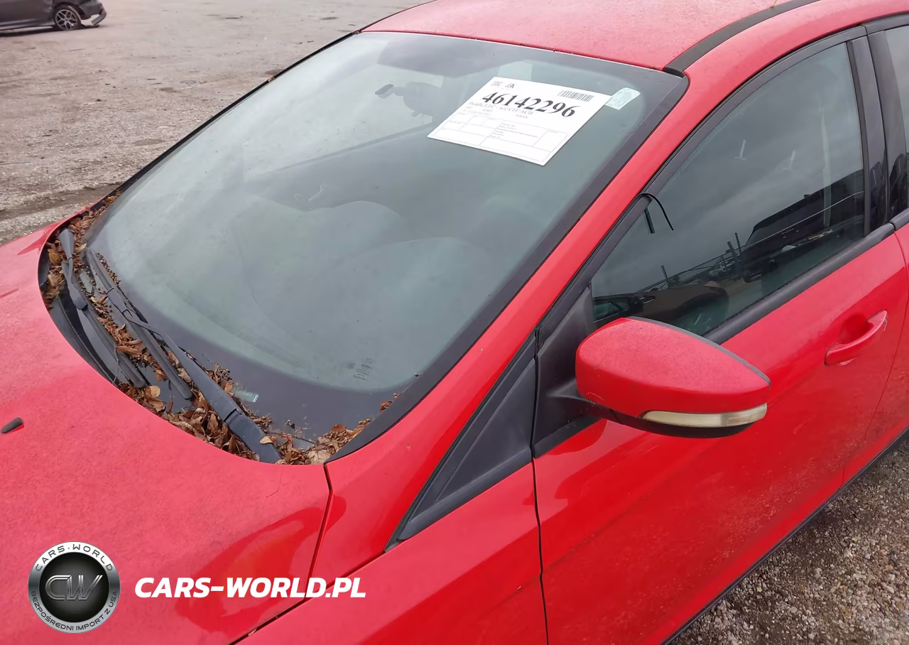 2015 Ford Focus Se VIN:1FADP3F24FL209617 - 6