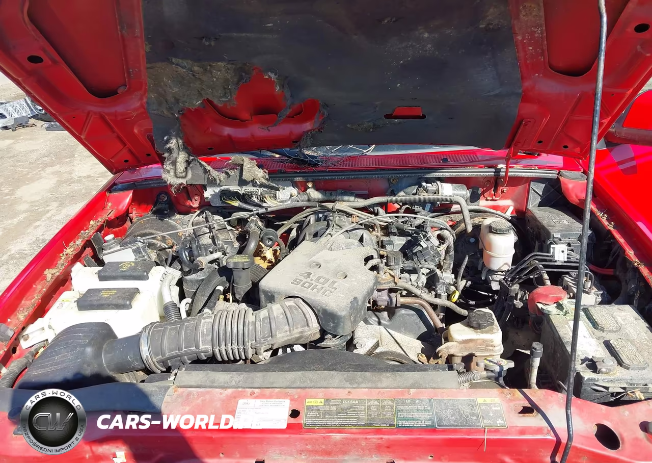 2011 Ford Ranger Sport VIN:1FTLR4FE3BPB19930 - 10