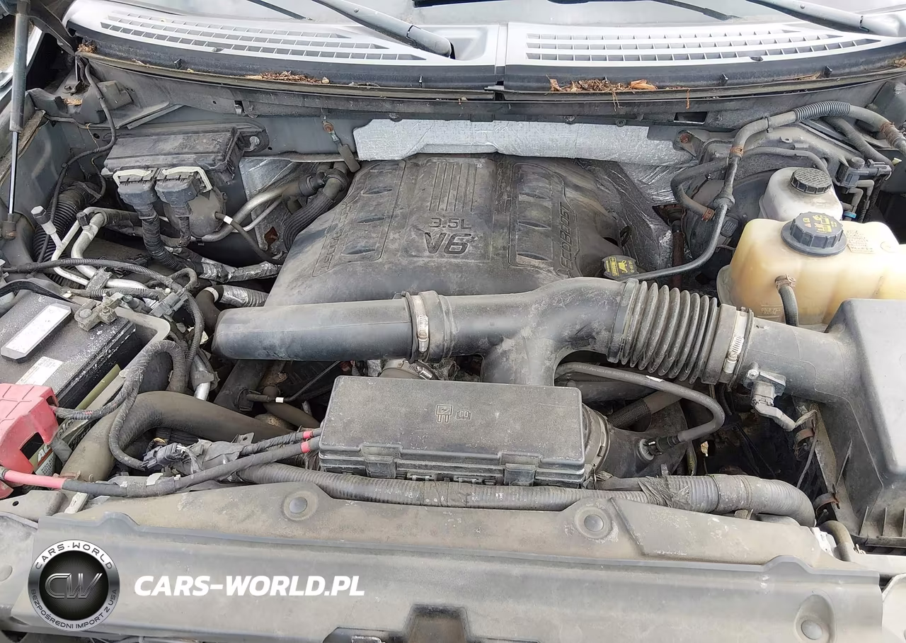 2011 Ford F-150 Xlt VIN:1FTFX1ET1BFD18644 - 10