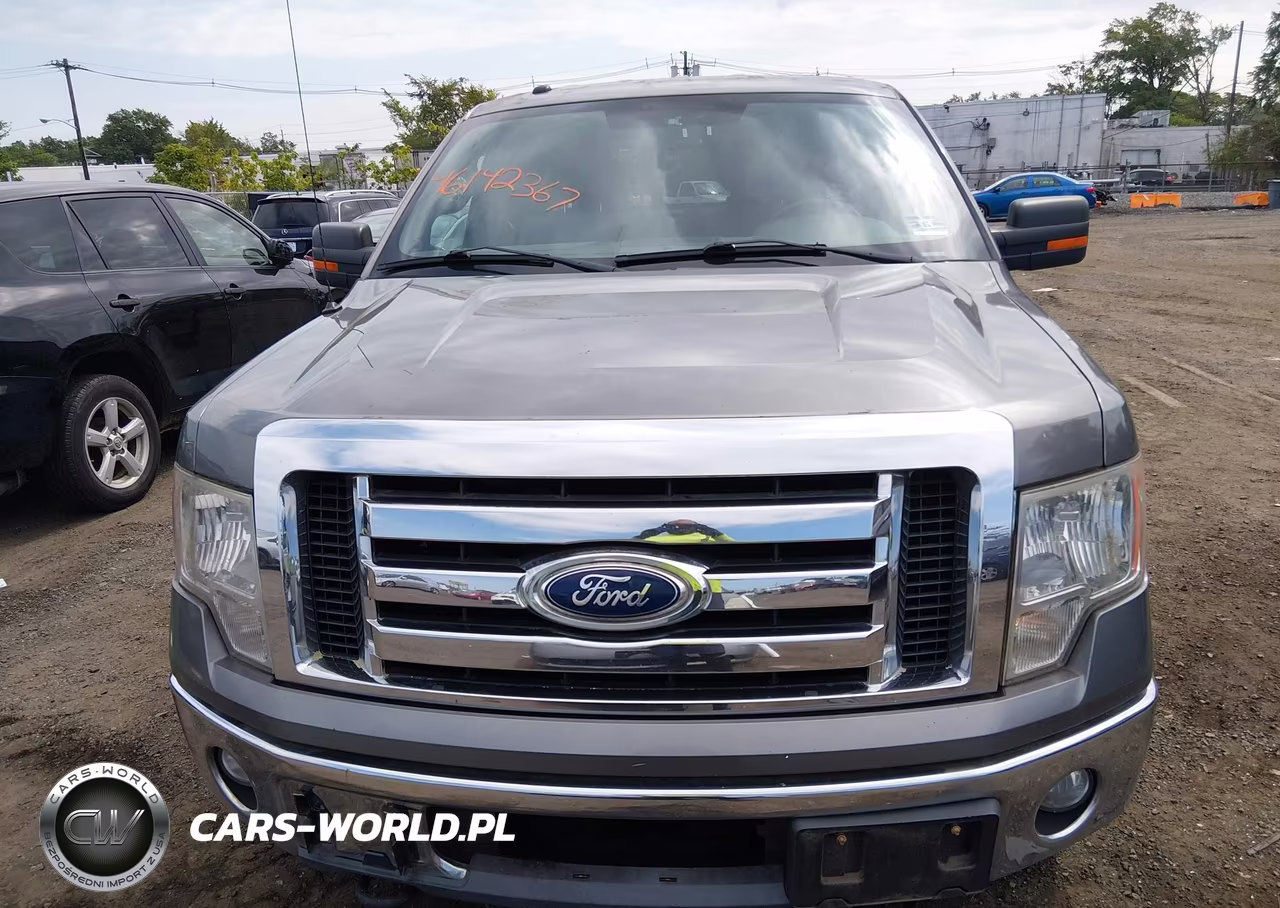 2011 Ford F-150 Xlt VIN:1FTFX1ET1BFD18644 - 12