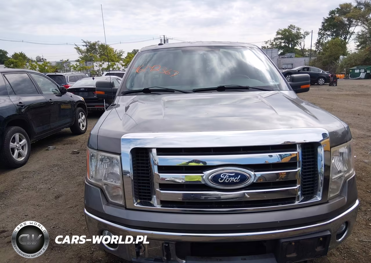 2011 Ford F-150 Xlt VIN:1FTFX1ET1BFD18644 - 6