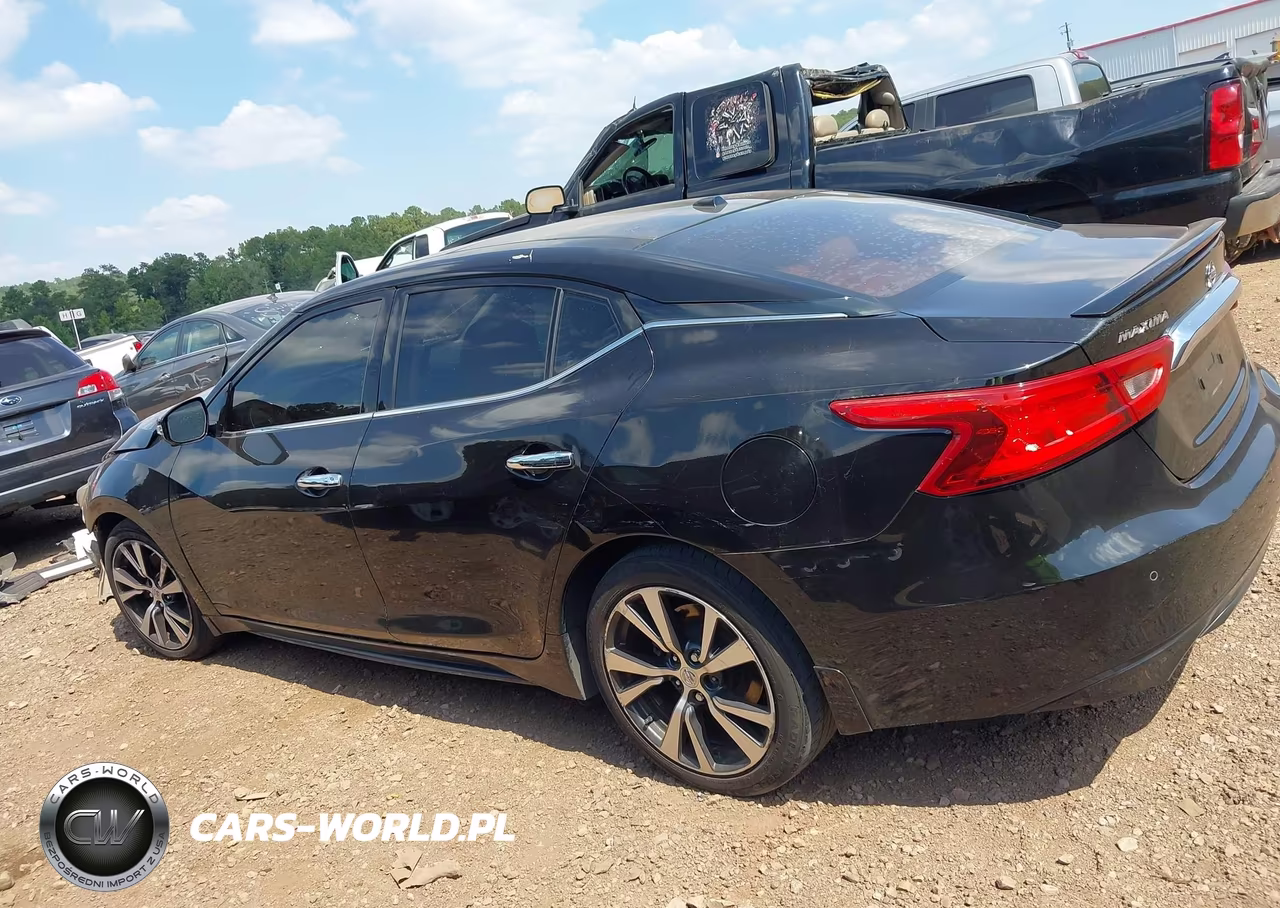 2016 Nissan Maxima 3.5 Platinum VIN:1N4AA6AP8GC428946 - 14