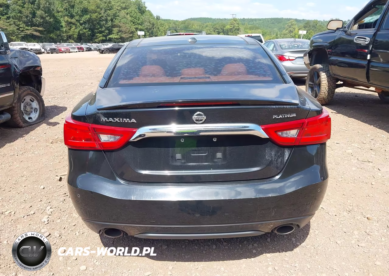 2016 Nissan Maxima 3.5 Platinum VIN:1N4AA6AP8GC428946 - 16