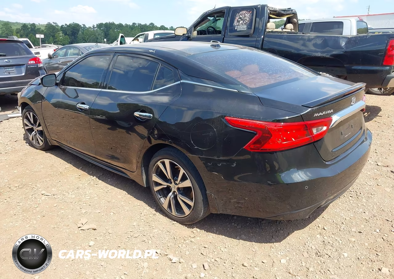 2016 Nissan Maxima 3.5 Platinum VIN:1N4AA6AP8GC428946 - 3