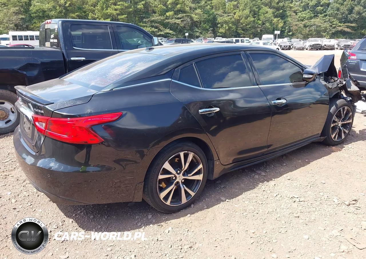 2016 Nissan Maxima 3.5 Platinum VIN:1N4AA6AP8GC428946 - 4