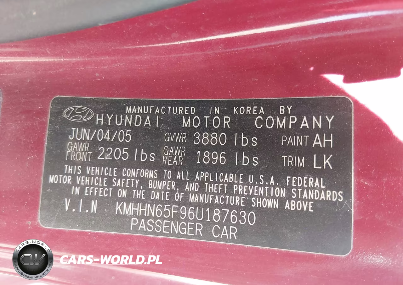 2006 Hyundai Tiburon Gt-Gt Limited-Se VIN:KMHHN65F96U187630 - 9
