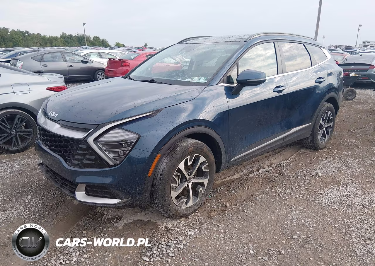 2024 Kia Sportage Hybrid Ex VIN:KNDPVCDG2R7161088 - 2