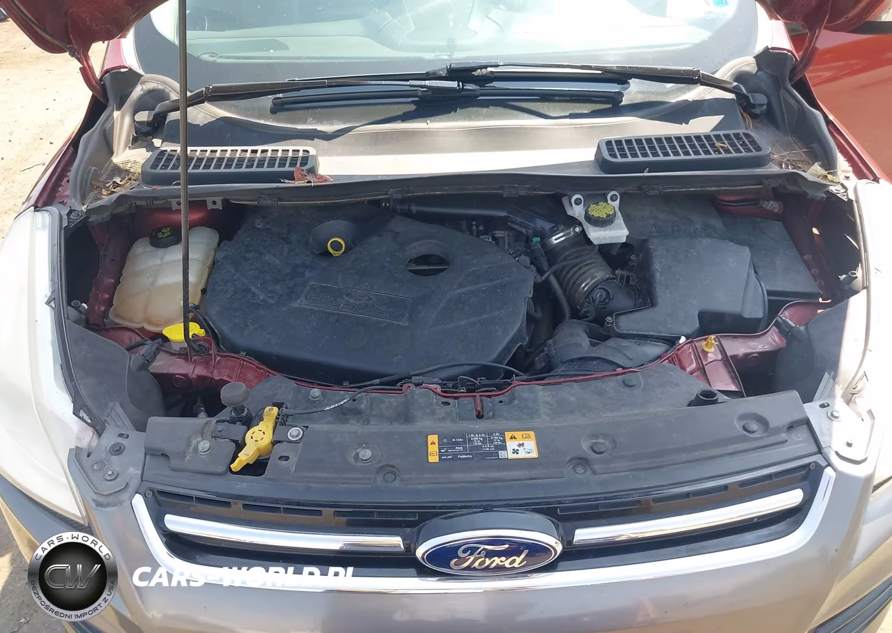 2016 Ford Escape Se VIN:1FMCU0G94GUA59864 - 10