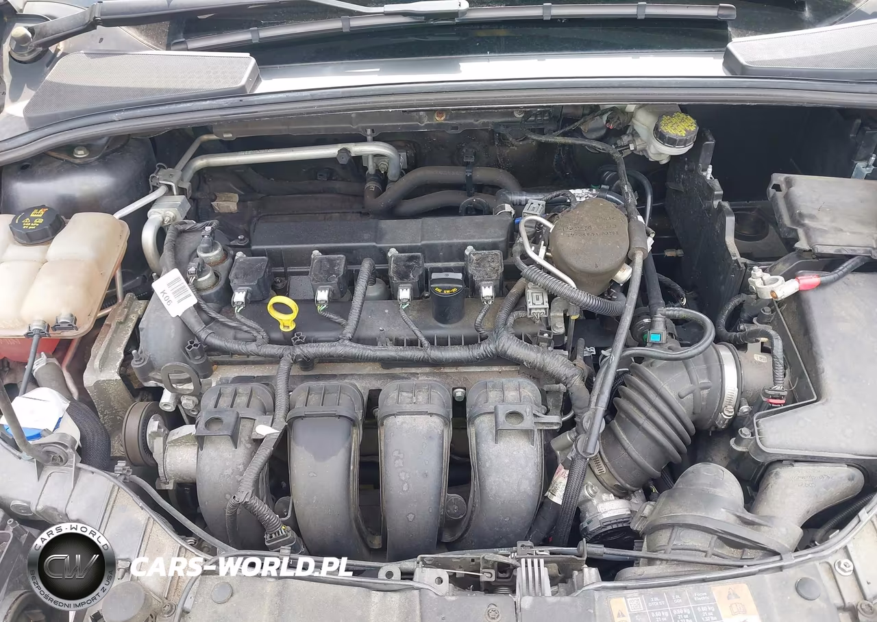 2015 Ford Focus Se VIN:1FADP3F21FL316429 - 10