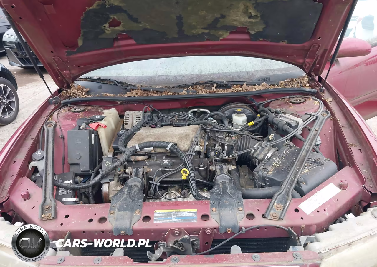 2004 Buick Century VIN:2G4WS52J541189421 - 10